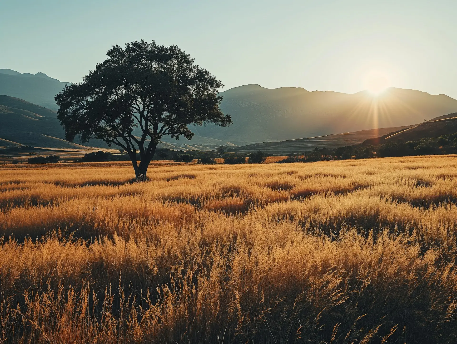 Sistemas Fotovoltaicos